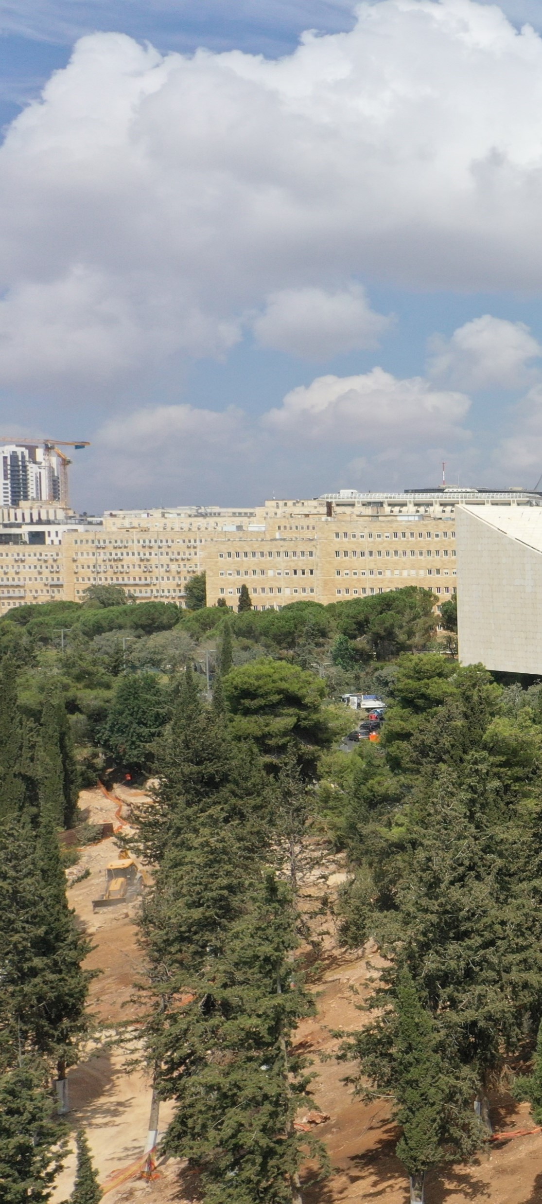תמונה 4 הספרייה.png
